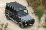 Mercedes-Benz G300 CDI Professional 2017 года (AU)